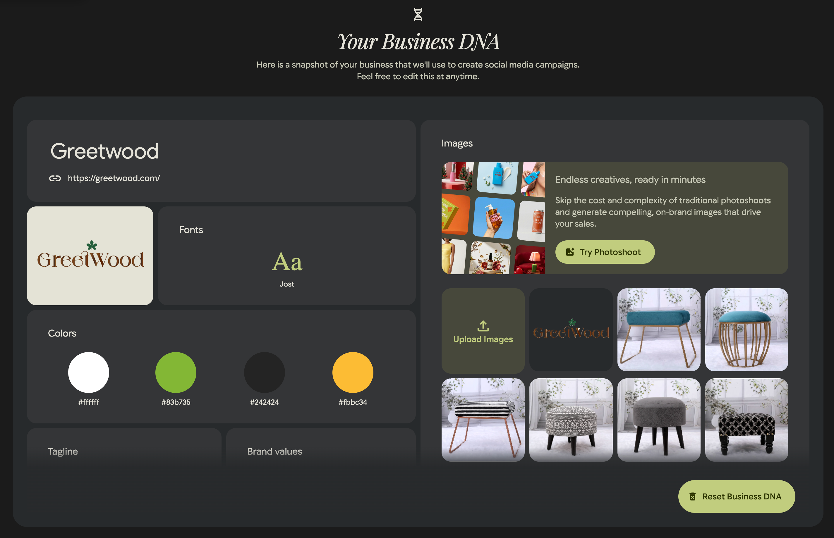 Pomelli Business DNA setup screen